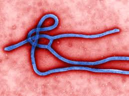 new_ebola.jpg